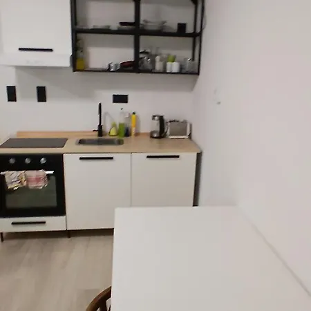1307 Na Zlichove